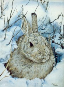 Bunny in the snow